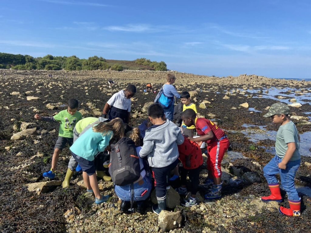 Groupe de jeunes faisant de la pêche à pied sur l'estran
